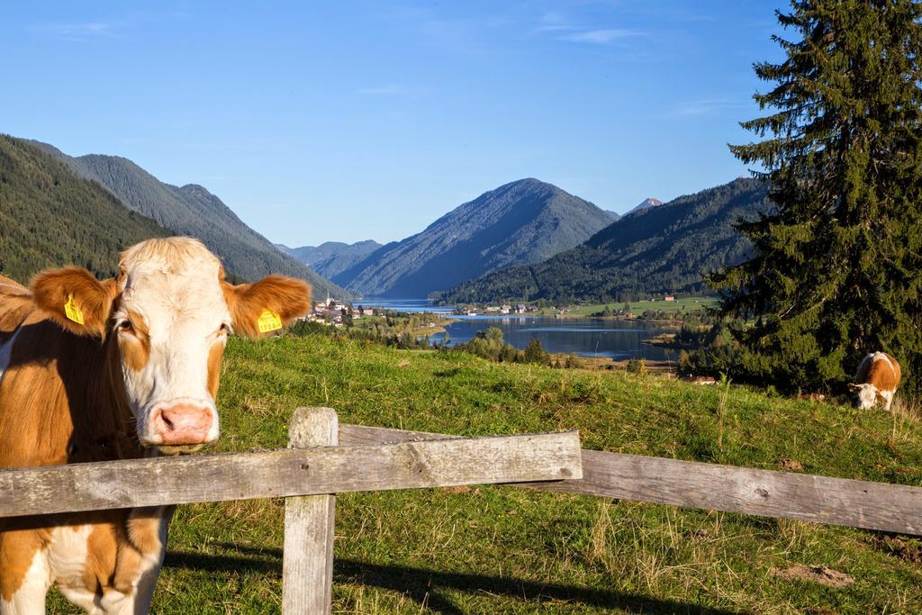 Haus Kalt Apartment Weissensee Bagian luar foto